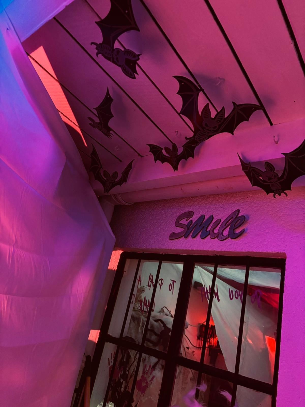 Mottoparty Halloween mit Fledermäusen in pinkem Licht